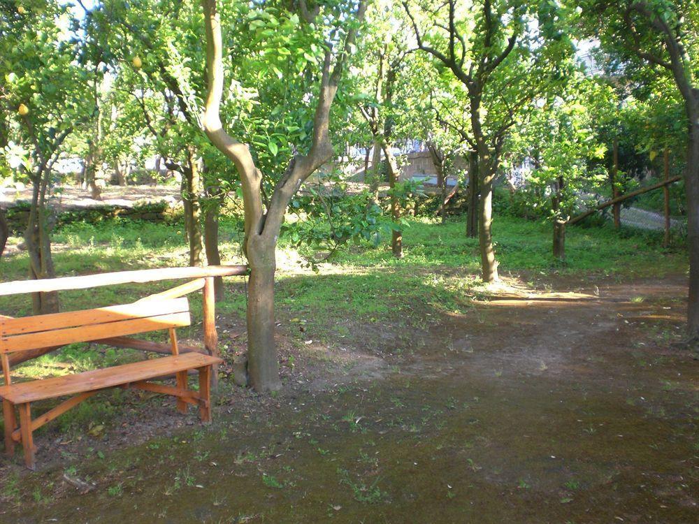 Chalet Paradiso Σορέντο Εξωτερικό φωτογραφία