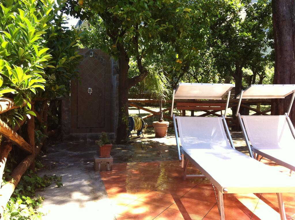 Chalet Paradiso Σορέντο Εξωτερικό φωτογραφία
