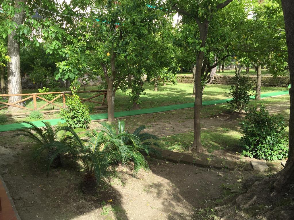 Chalet Paradiso Σορέντο Εξωτερικό φωτογραφία