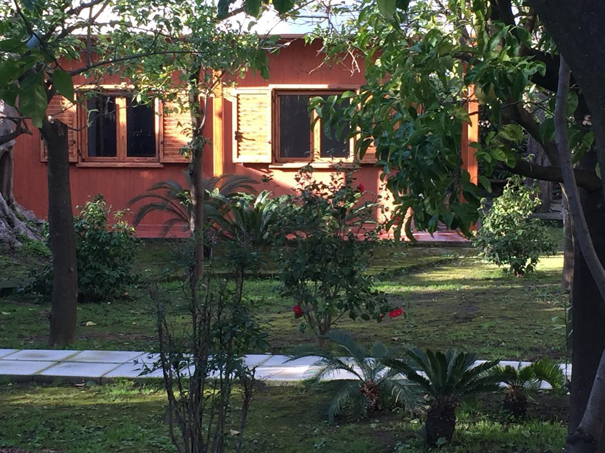 Chalet Paradiso Σορέντο Εξωτερικό φωτογραφία